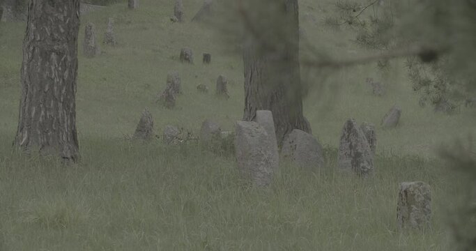 Old ancient Jewish cemetery in summer spring day. Druya, Belarus. green grass and many ancient stones. Headstone Headstones Tombstones jewish grave, clog2, clog, canon c70 c log 2.