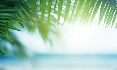 Close-up of palm leaf with blurred tropical beach