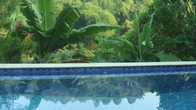 swimming pool with a background of shady trees and hillsides.