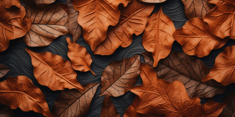 Fototapeta premium Close-up autumn dry leaf textured wallpaper