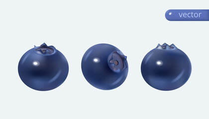 Realistic blueberries in different positions. 3d vector set isolated. Realistic cartoon vector