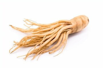 A close-up of a root on a white background