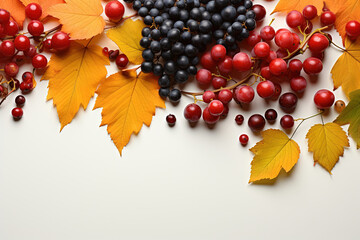 Autumn leaves with colorful maple leaves, apples, and berries. Autumn fruits on a White background with copy space for text