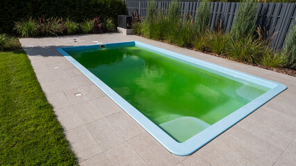 Green water in a home pool in the backyard of a house. Bloomed due to incorrect dosage of chemicals