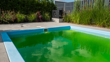 Green water in a home pool in the backyard of a house. Bloomed due to incorrect dosage of chemicals