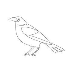 Bird one continuous line design