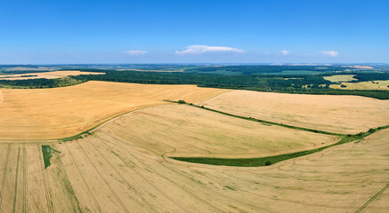 Fototapeta na wymiar Aerial landscape view of yellow cultivated agricultural field with ripe wheat on bright summer day