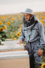 A man collects honey in an apiary in fields with sunflowers at sunset