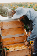 A man and a woman beekeepers collect honey in an apiary in fields with sunflowers at sunset