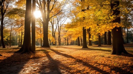 Sunny Autumn Splendor: Yellow Leaves and Falling Foliage
