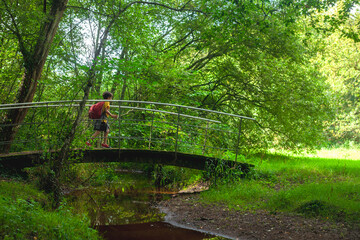 Child crossing a bridge over a small river in the middle of a green and leafy forest.