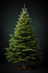 Christmas tree isolated on black background. Xmas fir pine tree