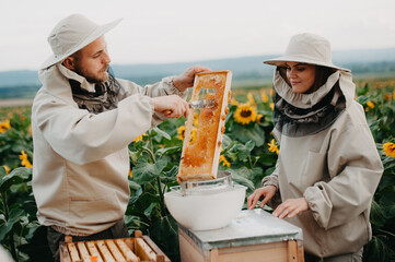 Young beekeepers work with bees in the apiary and eat honey.A young family of beekeepers collects...