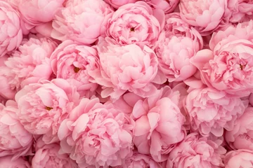 Foto op Aluminium Beautiful bouquet of pink peonies, floral background or wallpaper. Generative AI © Kaida