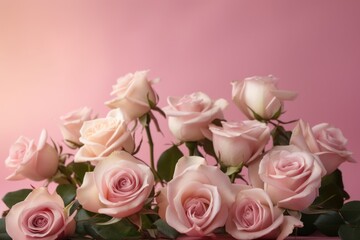 Pink Roses on Pastel Pink Background