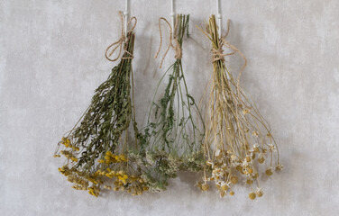 Dry herbs tansy, chamomile and yarrow are hanging on the wall. 