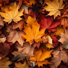 Autumn Leaves: Nature's Colorful Tapestry
