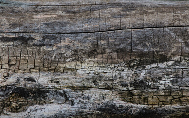 old wood texture