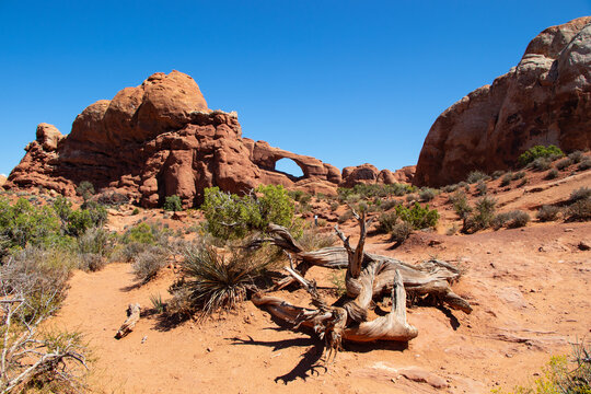 Arches National Park in Utah USA