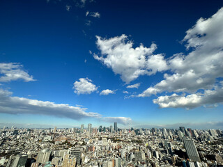 skyline with buildings in the city