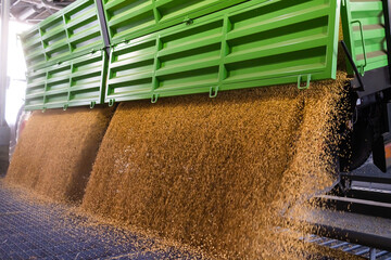 unloading soybeans into the silo © Dusan Kostic