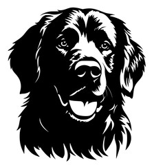 golden retriever vector