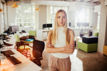 Portrait of a young businesswoman in a modern business office