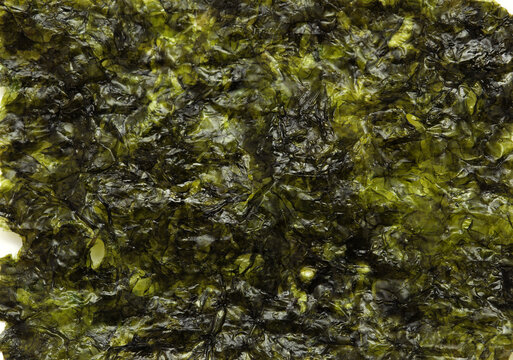 Thin sheets of dried and seasoned edible seaweed, kim, ingredient in Korean cuisine 
