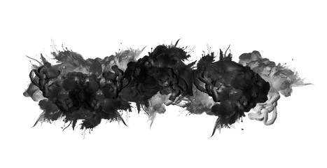 Foto op Canvas Black Ink smoke flow drop blot on white background. © Liliia