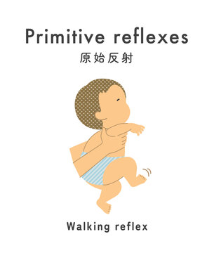 Illustration material: Primitive reflex_baby_walking reflex