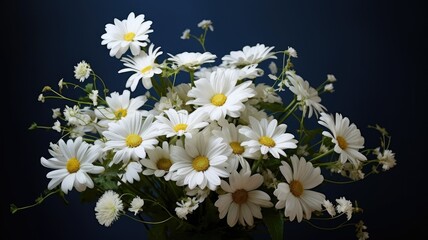 an elegant bouquet composed of white, large daisies against a dark background. The contrast highlights the purity and beauty of the daisies.