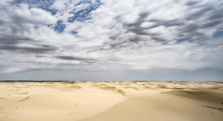 Fototapeta na wymiar Sand dunes in the Senek desert in the Kazakh desert, sand texture in the desert