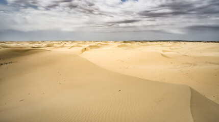 Fototapeta na wymiar Sand dunes in the Senek desert in the Kazakh desert, sand texture in the desert
