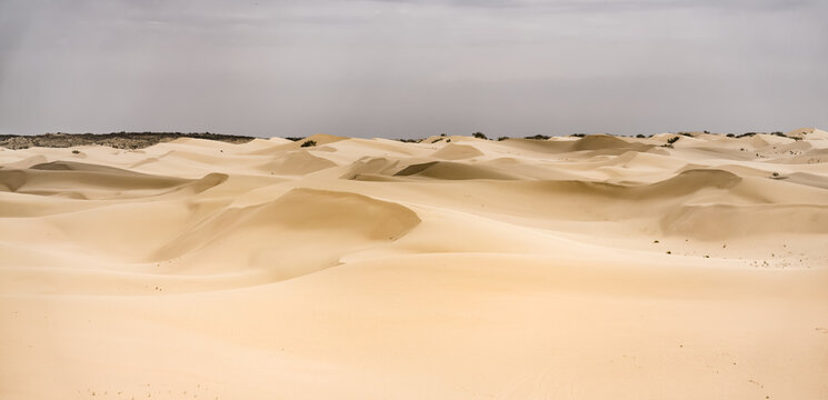 Sand dunes in the Senek desert in the Kazakh desert, sand texture in the desert