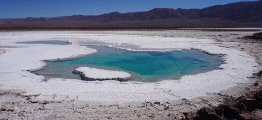 Baltiche hidden lagoon, turquoise salt water in Atacama salt desert Chile © CristianEsteban