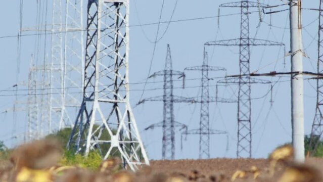 Overhead power lines are in sunflower field in extreme heat. High voltage energy infrastructure. Hot weather causes shimmering effect. Video was filmed with soft focus