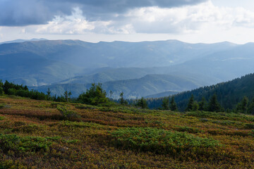 Fototapeta na wymiar Beautiful landscapes of Ukraine, Chornohirskyy Carpathian ridge, overcast sky in the Carpathians.