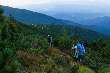 A group of tourists of different ages and genders with trekking poles and backpacks traveling along a trail through green meadows in the Carpathian mountains, Ukraine.