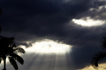 Sunlight Pouring Through Break In Dark Clouds Hawaii With Palm