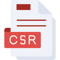 Csr File Format Icon