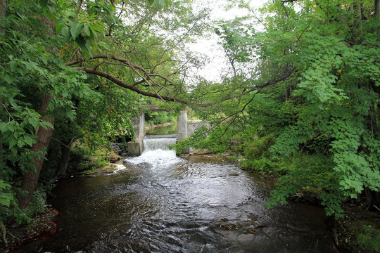 Summer landscape with waterfall in the forest