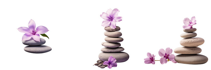 Obraz na płótnie Canvas Png Set Black isolated spa stones and purple flower transparent background