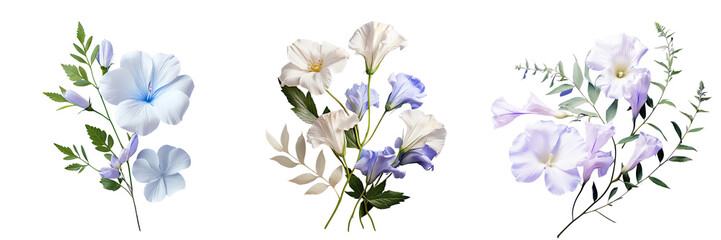 Png Set Blue flower with leaves on transparent background copy space available