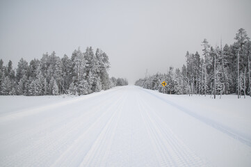 A snow-covered road with snowy trees on both sides in the distance and a gray sky at Yellowstone NP