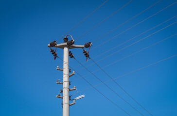 Metal cables and porcelain insulators on concrete electric pole.