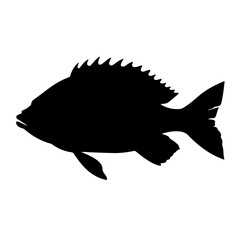 snapper silhouette black white vector illustration