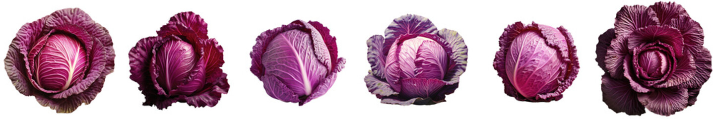 Obraz premium Png Set Red cabbage against transparent background