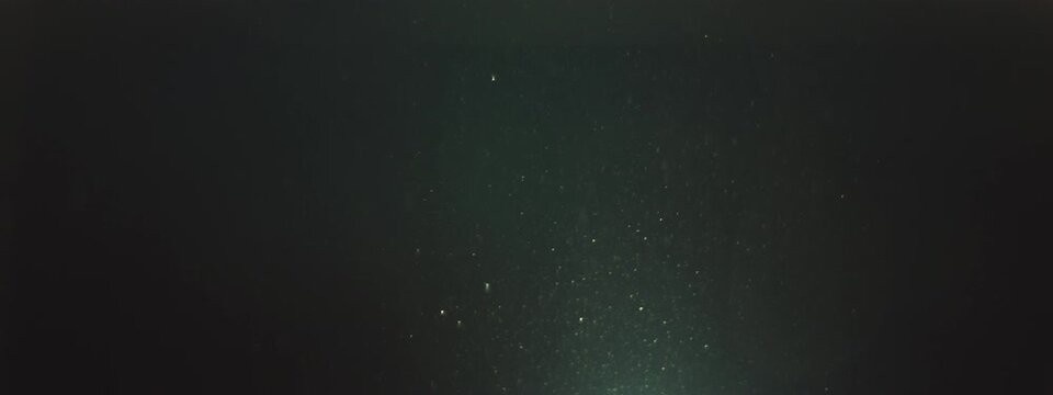 Slow Motion Of Natural Organic Dust Particles