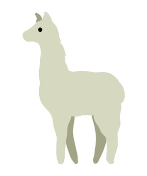 Cute llama vector illustration