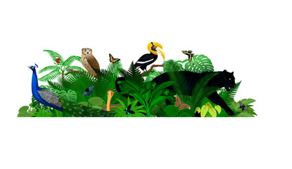Vector tropical jungle rainforest illustration with animals.